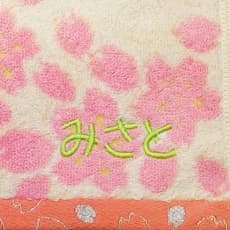 名入れ刺繍サンプルイメージ