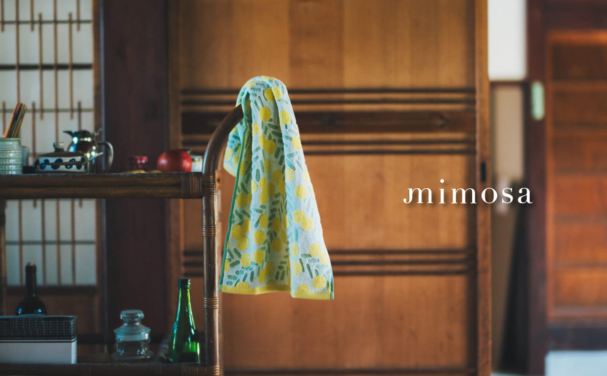 mimosa
