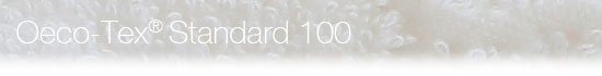 エコテックス100