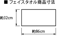 サイズ