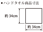 サイズ