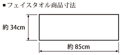 サイズ
