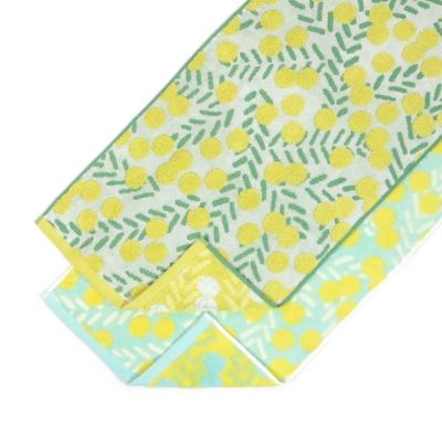 000000002863-01-m.jpg?t=